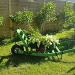 Bogi's - بيت ضيافة