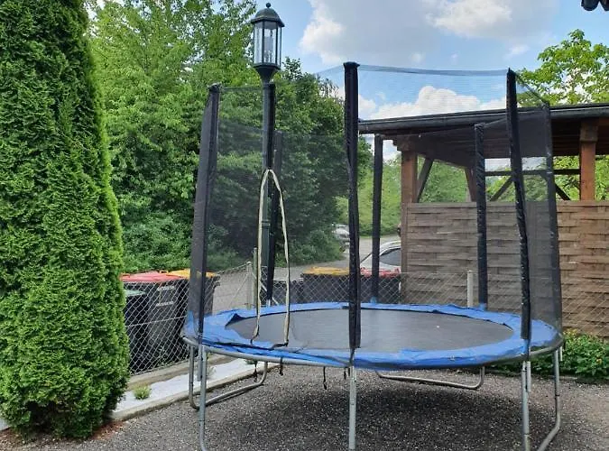 招待所 Bogi's - *